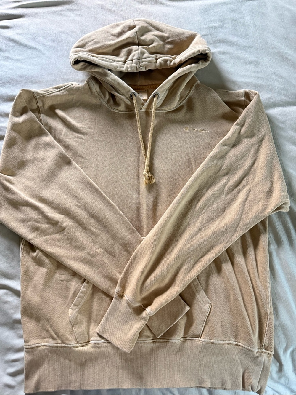 Champion Hooded Pullover Sweatshirt in Beige